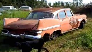 Field Find: Rare 1959 Dodge Viscount!