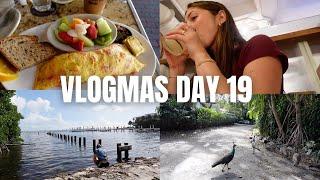 VLOGMAS DAY 19: exploring Miami + Bartaco dinner date!