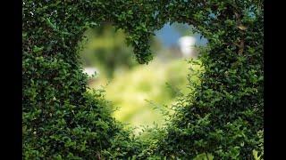 Evil Attacks and LOVE Protects.