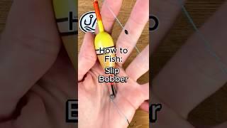 How to fish with a slip bobber #fishing #fishingtips #panfish #crappiefishing #walleyefishing