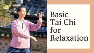 Basic Tai Chi Energy Breathing Meditation For Relaxation | Qigong Routine