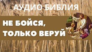 Аудио Библия | Луки глава 12 | Не бойся, только верь!