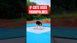 IF CATS USED TRAMPOLINES: 