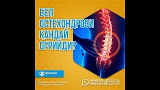 БЕЛ ОСТЕОХОНДРОЗИ ҚАНДАЙ ОҒРИЙДИ? #saidatabiba  #asalarimed #osteochondrosis