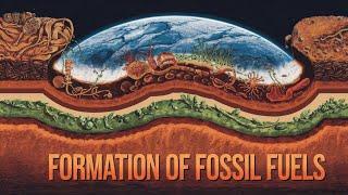 The Journey of Ancient Organisms To Formation of Fossil Fuels Explained||Innocent Wildlife