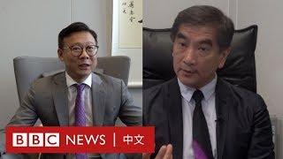 香港示威：親政府建制派政黨 如何看待示威浪潮－ BBC News 中文