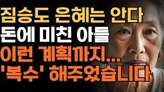 "부모 돈은 다 내꺼야" 홀로 남은 어머니 돈을 노리는 아들의 참혹한 자작극 | 인생 | 사연 | 오디오북 | 가족 | 엄마 | 아빠 | 삶