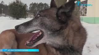 Кинологический центр Сморгонь пограничная служба Республики Беларусь