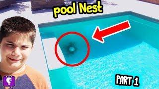 We Find Mystery NEST... PART 1 in Backyard by HobbyKidsTV