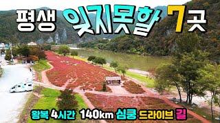 캠핑카 카라반 텐트 차박여행 1번지, 왕복 4시간 140km 환상적인 강변 드라이브길, 고운골갈대밭, 여울목전망대, 북벽, 영월동강, 붉은 메밀밭, 어라연, 단양강잔도, 뼝창마을