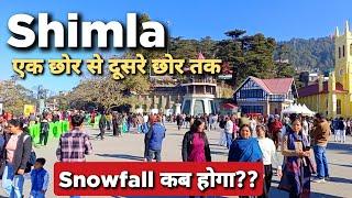 Shimla घूमते हैं आज एक छोर से दूसरे छोर तक | Shimla Snowfall ️ ️ Update  #shimla #shimlahimachal