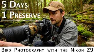 5 Days 1 Preserve: Nature and Bird Photography with the Nikon Z9