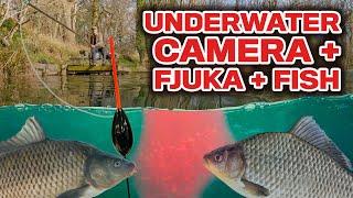 We put a camera UNDERWATER with Fjuka & fished