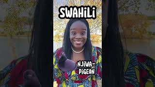 #nguzobabies #kindergarten #kids #preschool #swahili #kidsvideo