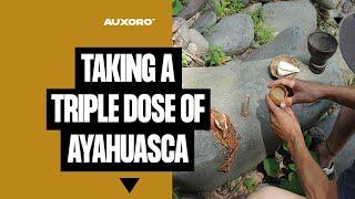MIKE COREY (FEARLESS & FAR) ON TAKING A TRIPLE DOSE OF AYAHUASCA