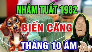 Tử Vi Tháng 10 Âm Tuổi Nhâm Tuất 1982, May Mắn, Đổi Đời Giàu Có Hay Xui Xẻo Vận Hạn Thế Nào?