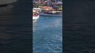 Ferry parking at Universal studios #attraction #fun #travel #vacation #shorts #shortsfeed #video
