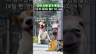 군대 신병 휴가 특징 #shorts #군대