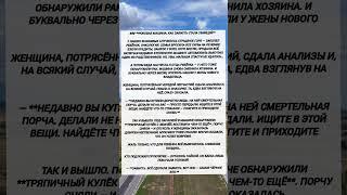 Зависть