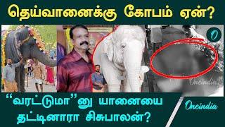 Tiruchendur Elephant Attack | யானை இருவரை மிதிக்க என்ன காரணம்? | Oneindia Tamil