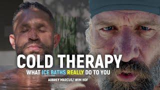 What Happens When You Do This For 30 Days | COLD WATER THERAPY Ft Wim Hof & Aubrey Marcus