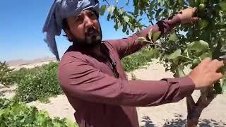 Anjum Saroya visits Cappadocia ajeeb dunya | land of mysteries| Anjum Saroya turkey