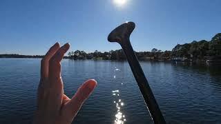 Let’s paddle board and find some dolphins