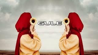 Gule-Kurdish Trap Remix-[ Yiğit Music & Xemgin Adar ]#kurdishtrapremix