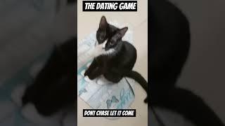 How to date with game #selfdreamers