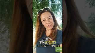 גלי טויזר - עץ התובנות - לקבל את המציאות