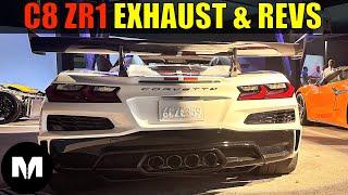 2025 C8 Corvette ZR1 Exhaust, Revs, Drivebys (Real, In Person)