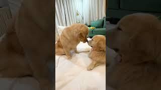 จุ๊มเหม่งเกือบแล้วว