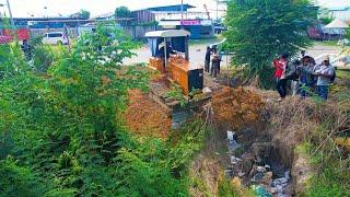 SO Nicely New Project !! Land Filling By Skill Dozer D31p Pushing The Ground Into Dense Forest