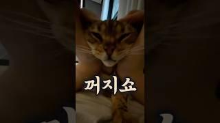 제발 내 위에서
