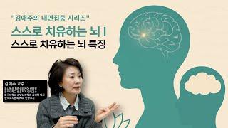 스스로 치유하는 뇌 I  스스로 치유하는 뇌 특징