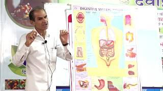 "बीमारी के कारण जानकर उसको जड़ से निकालिए" || Cure your Disease - Know its cause