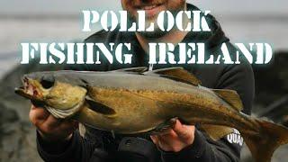 Lure fishing for Pollock off the rocks in Ireland