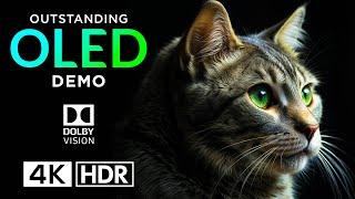 MIND-BLOWING  Dolby Vision 4K HDR 120fps 4K Video ULTRA HD