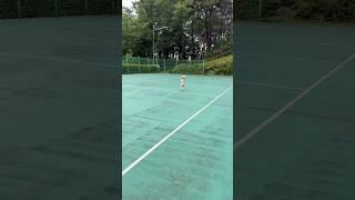 출근전 공놀이 해주기 #강아지 #토이푸들 #반려견 #강아지브이로그 #강아지일상 #poodle #산책 #공놀이