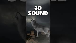 Wolf Howl 3d sound effect