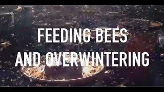 Feeding Bees and Overwintering