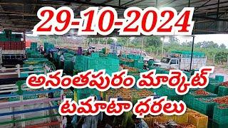 29-10-2024 today Anantapur tomato rates/ TODAY TOMATO MARKET PRICE / Today tomato price today Tomato