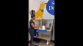 Self-serve dog wash tour! 