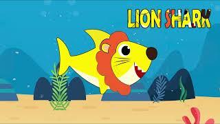 Animal Sharks | Baby Shark Turn into Animals | Kids Songs Nursery Rhymes Momonico #babyshark