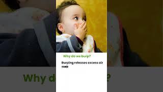 Why do we Burp? #shorts