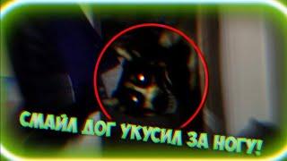 Вызов Духов | Смайл Дог [Smile Dog] (ЖЕСТЬ! УКУСИЛ ЗА НОГУ, СЛОМАЛ ЧАСЫ!)