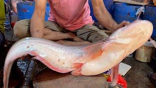 Amazing Cutting skills | Giant Wallago Catfish (Boal) Cutting Skills Live In Fish Market