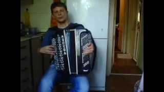 Любэ "Там за туманами" (Cover баян)