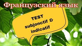 TEST : subjonctif & indicatif | практикуем французский