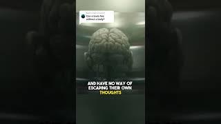 What If You Kept a Brain Alive Without a Body?